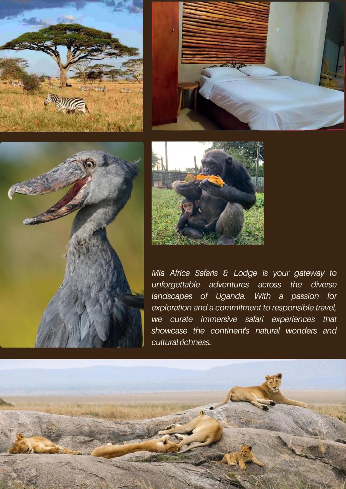 Mia Safari Lodge And Restaurant Entebbe Zewnętrze zdjęcie